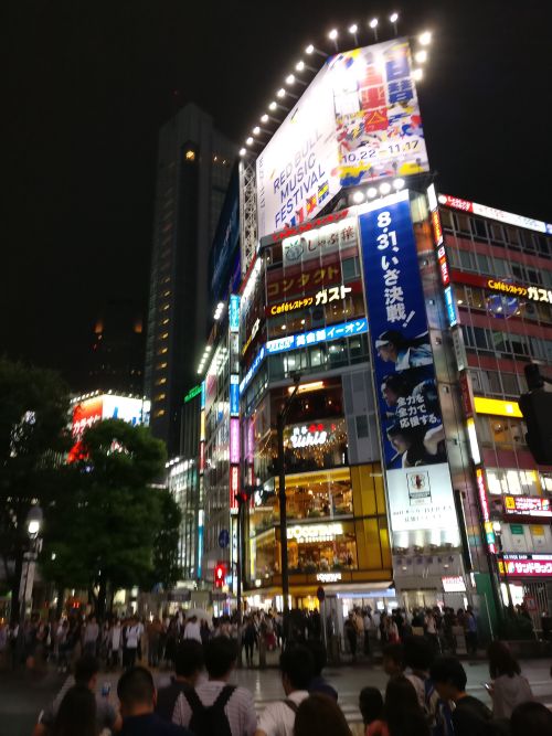 Die berühmteste Kreuzung der Welt - Shibuya Crossing