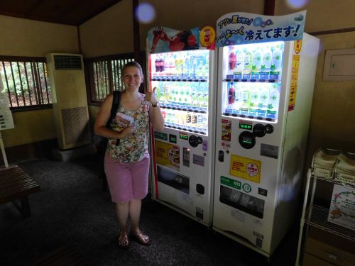 Es gibt sie überall, auch im Kōkyo Higashi-gyoen findet man einige